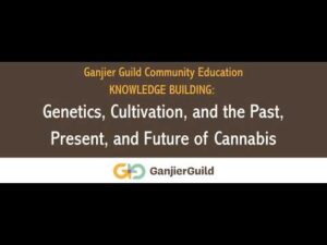 History & Genetics Part 6